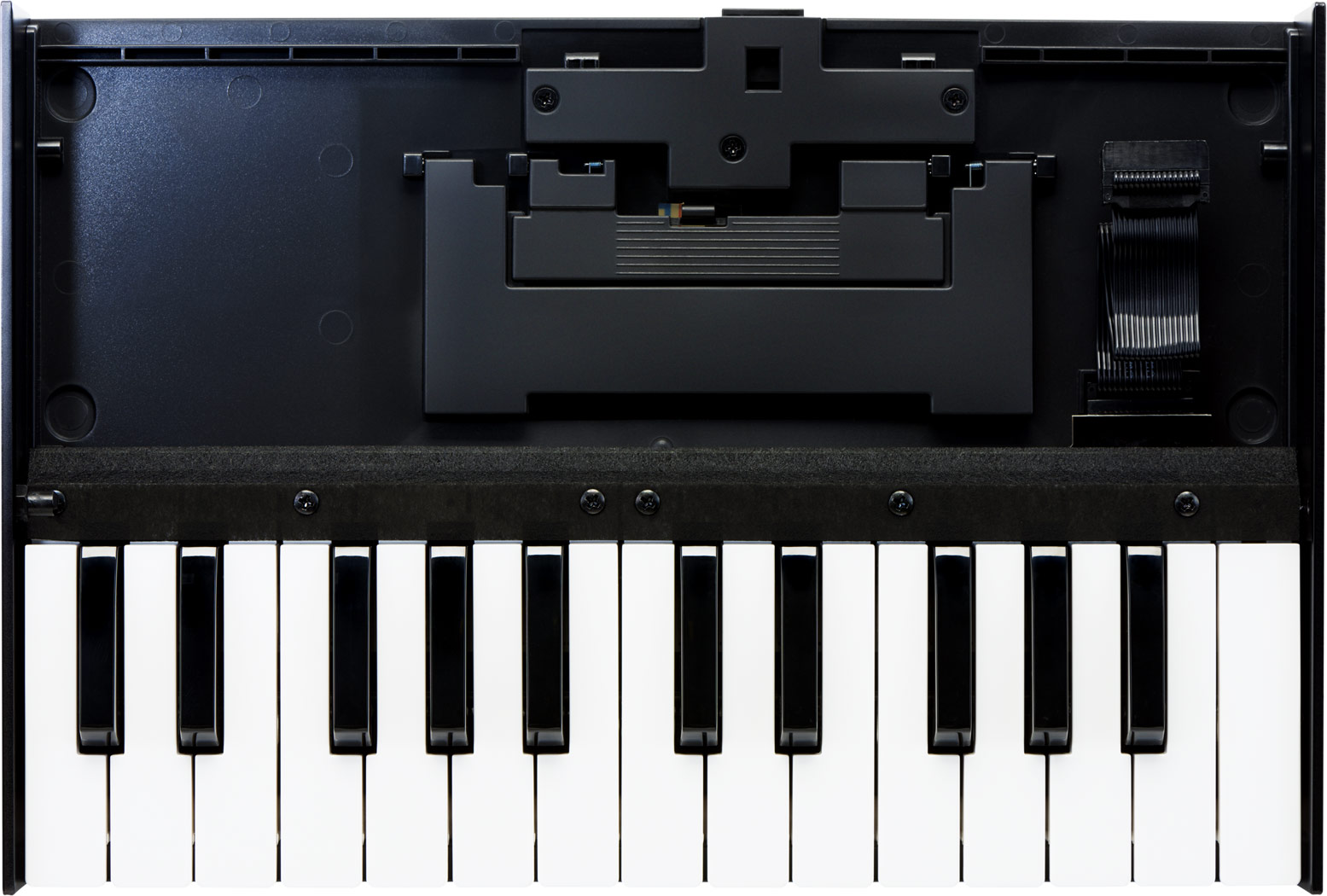 K-25m