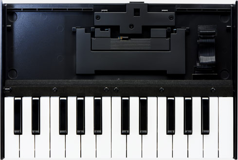 K-25m