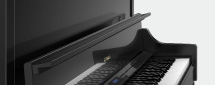 LX-17