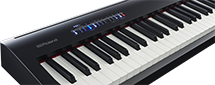 FP-30